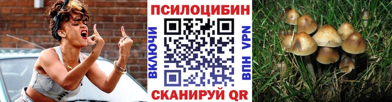 Галлюциногенные грибы Psilocybine cubensis  как найти   МЕГА зеркало  Венёв 